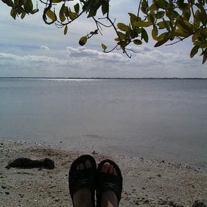 Meet your Posher, Randy